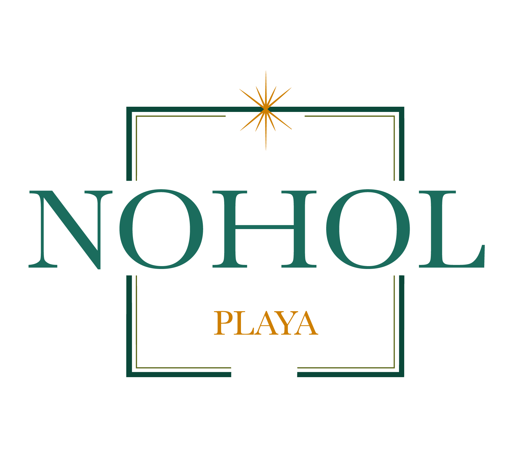 NOHOL Logo